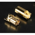 6mm oro conector Polymax