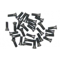 Part 28 Screw Pack M2.5*8 (10pcs)