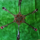 Drone SCA 920