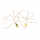 2.4GHz Circular Polarized Antenna SMA (Set) (Short)