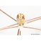 2.4GHz Circular Polarized Antenna SMA (Set) (Short)