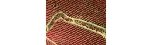 Multiespectral